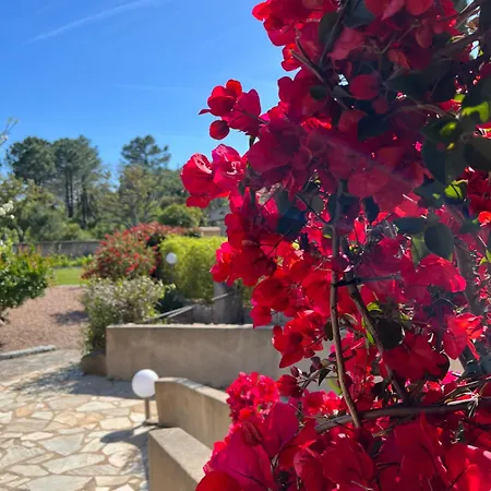 بيت للعطل Chaleureuse Au Coeur D'un Parc Tres Fleuris *