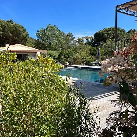 Ferienhaus Chaleureuse Au Coeur D'un Parc Tres Fleuris Porto-Vecchio (Corsica)